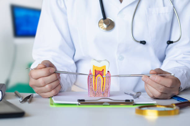 Best Weekend Emergency Dentist in Royal Pines, NC